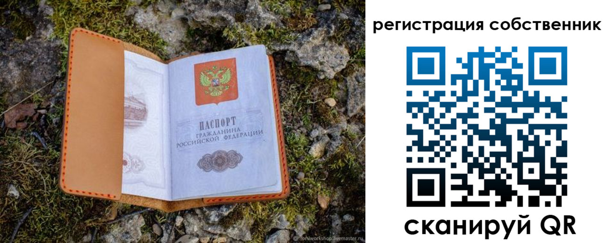 прописка поиск в Жигулёвске